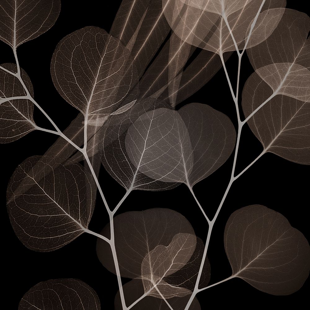 Similar wall art painting: 250367