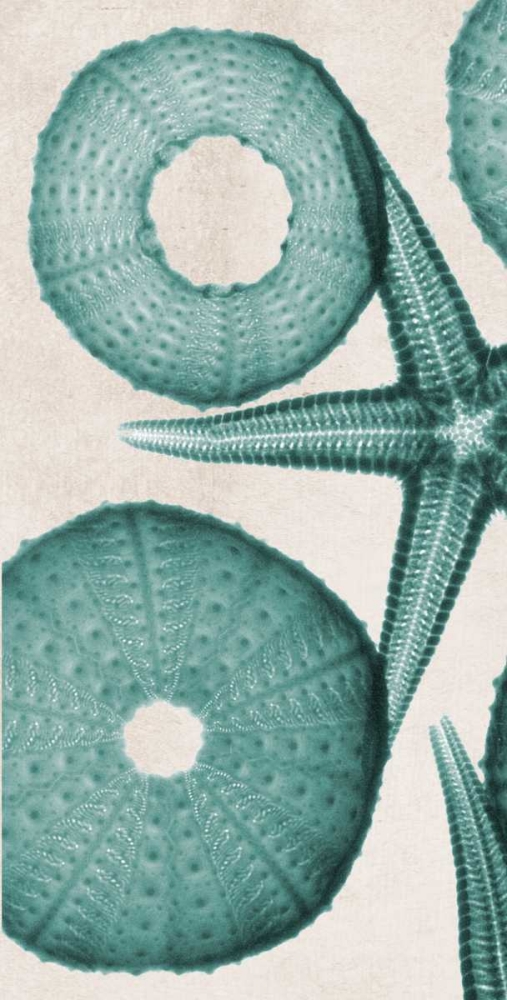 Similar wall art painting: 22435