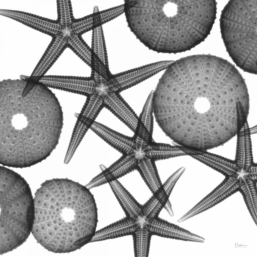 Similar wall art painting: 22485