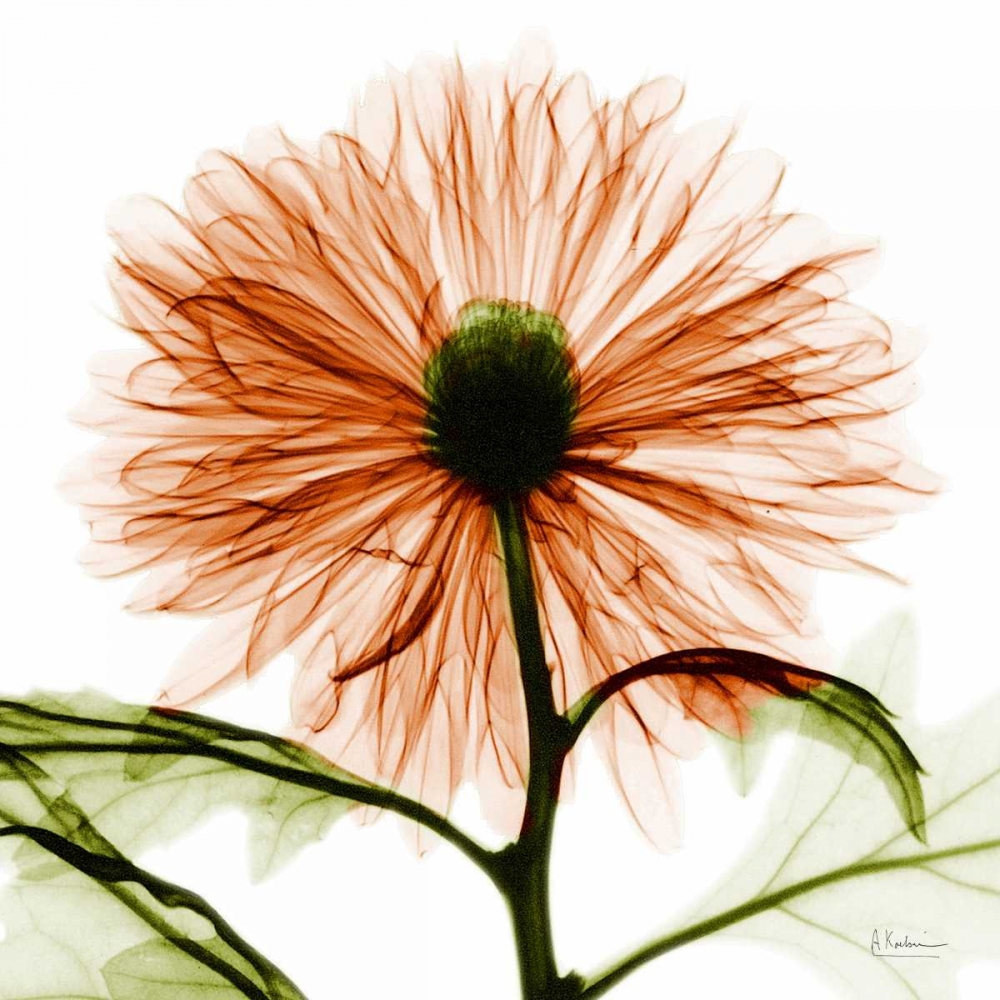 Similar wall art painting: 22493