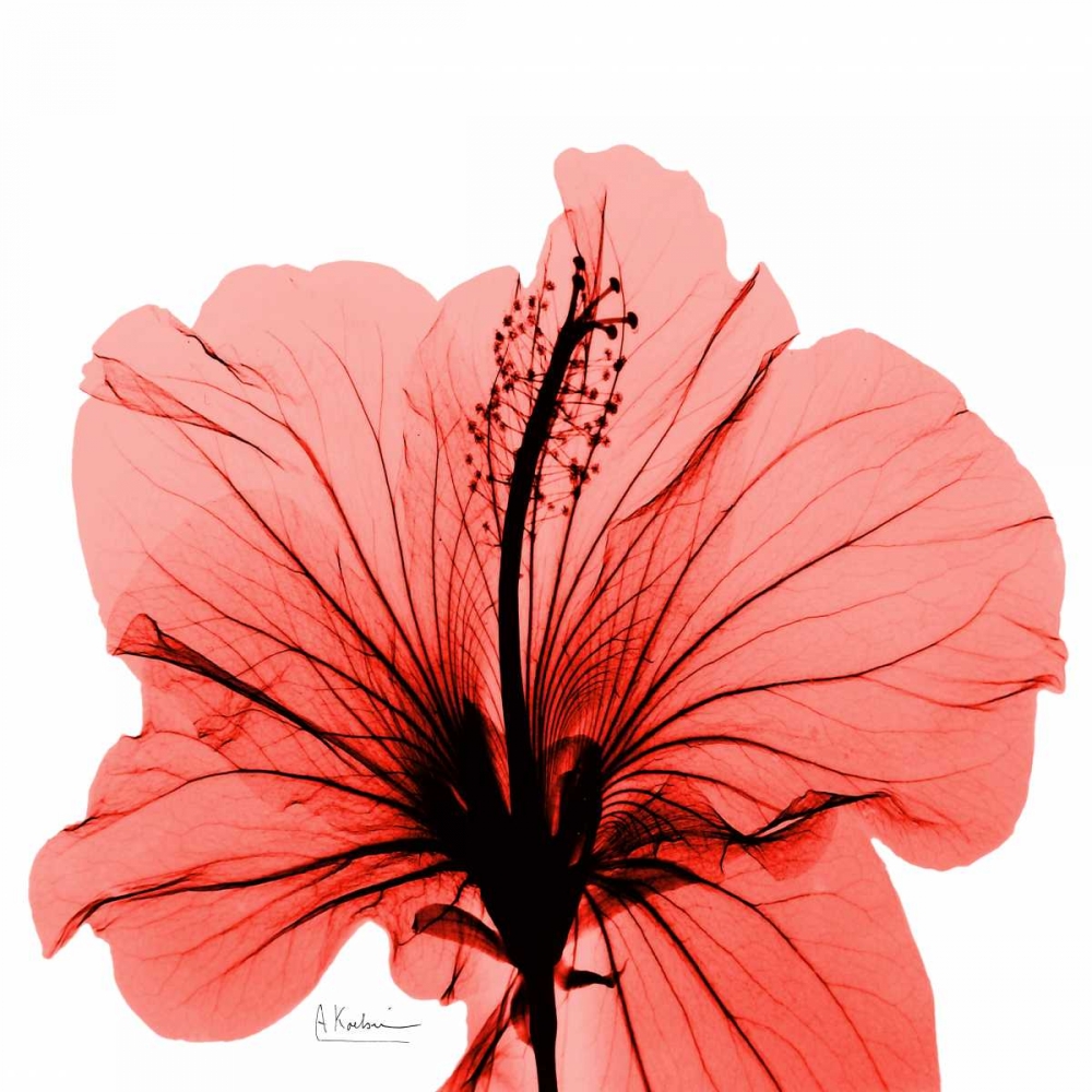 Similar wall art painting: 21697