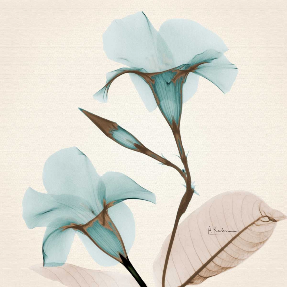 Similar wall art painting: 22561