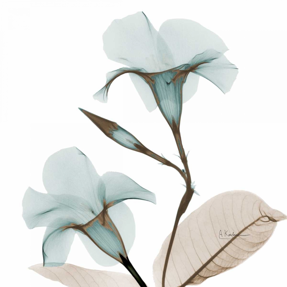 Similar wall art painting: 37237