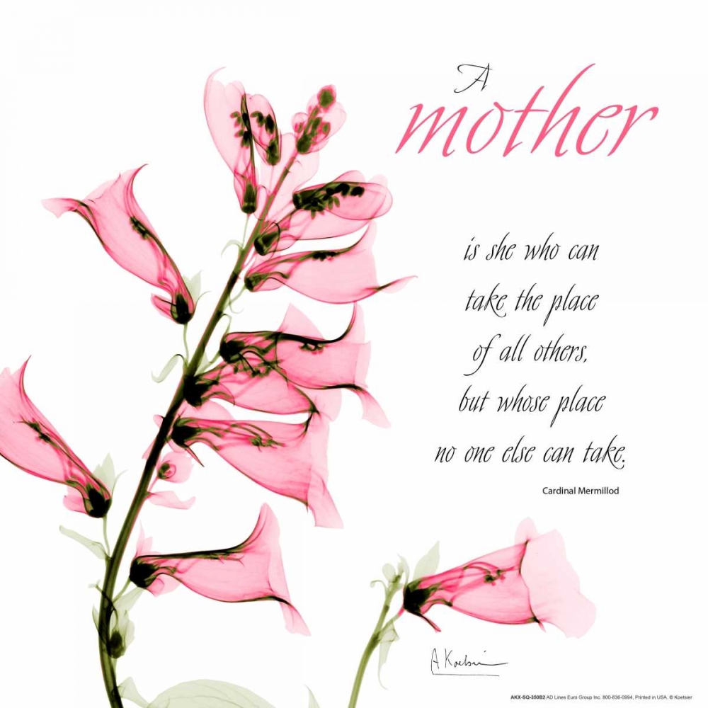 Similar wall art painting: 22565