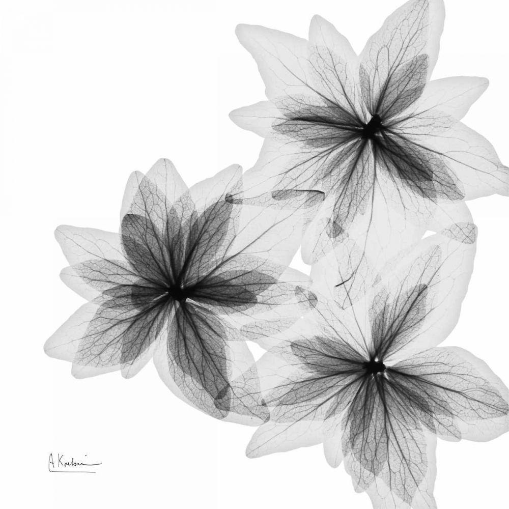 Similar wall art painting: 22576