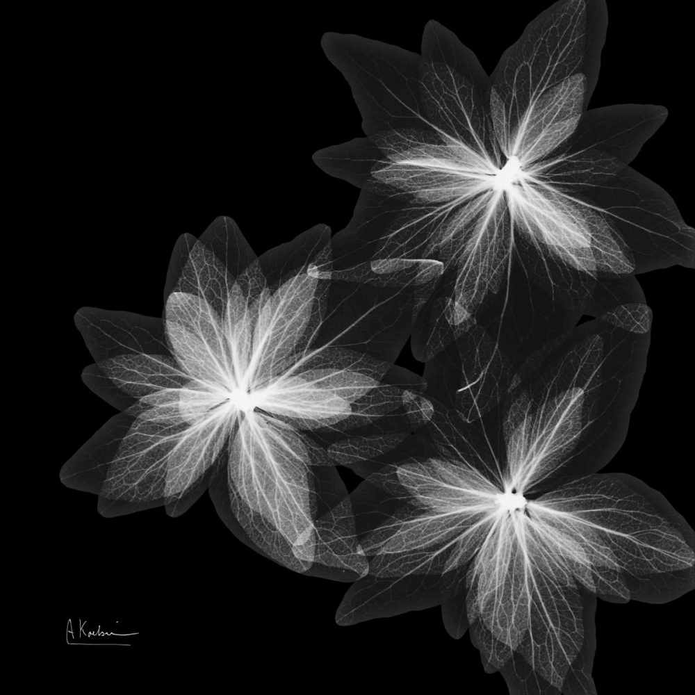 Similar wall art painting: 22577