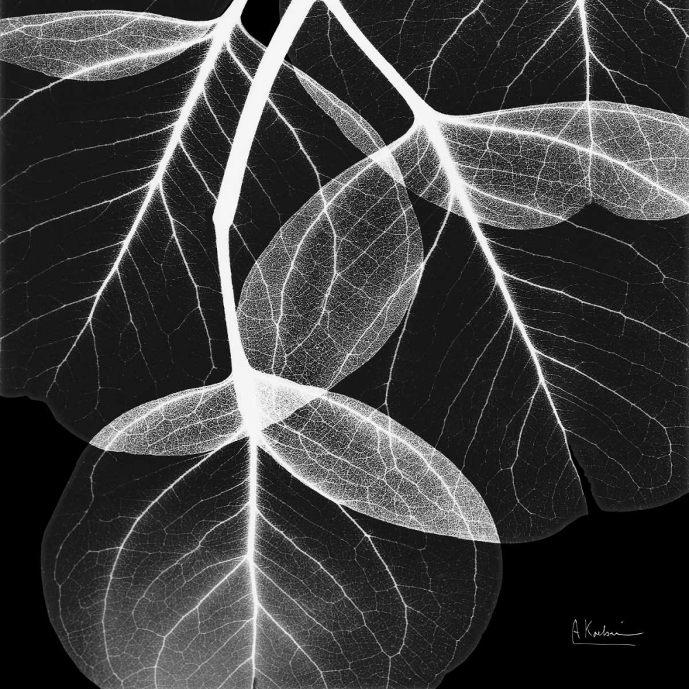 Similar wall art painting: 22579