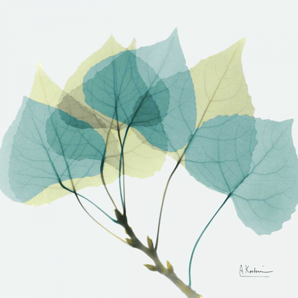 Similar wall art painting: 21703