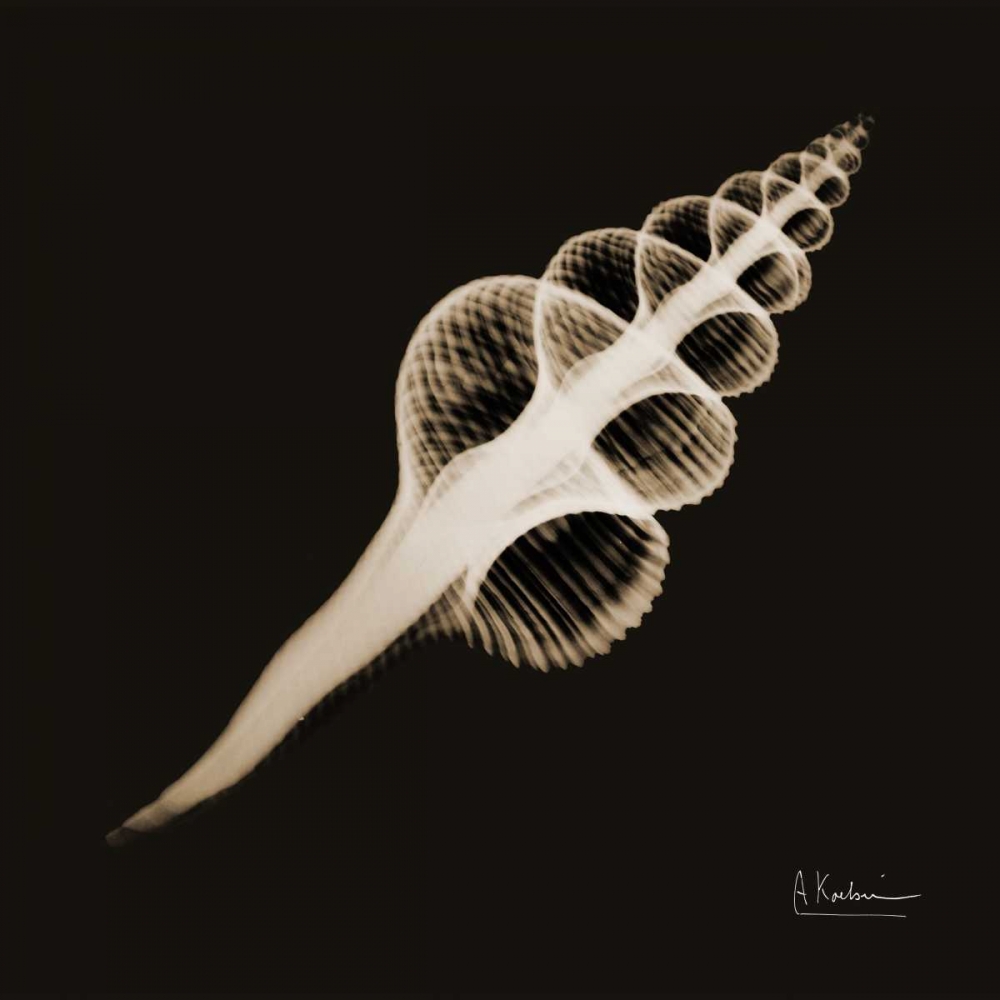 Similar wall art painting: 22590