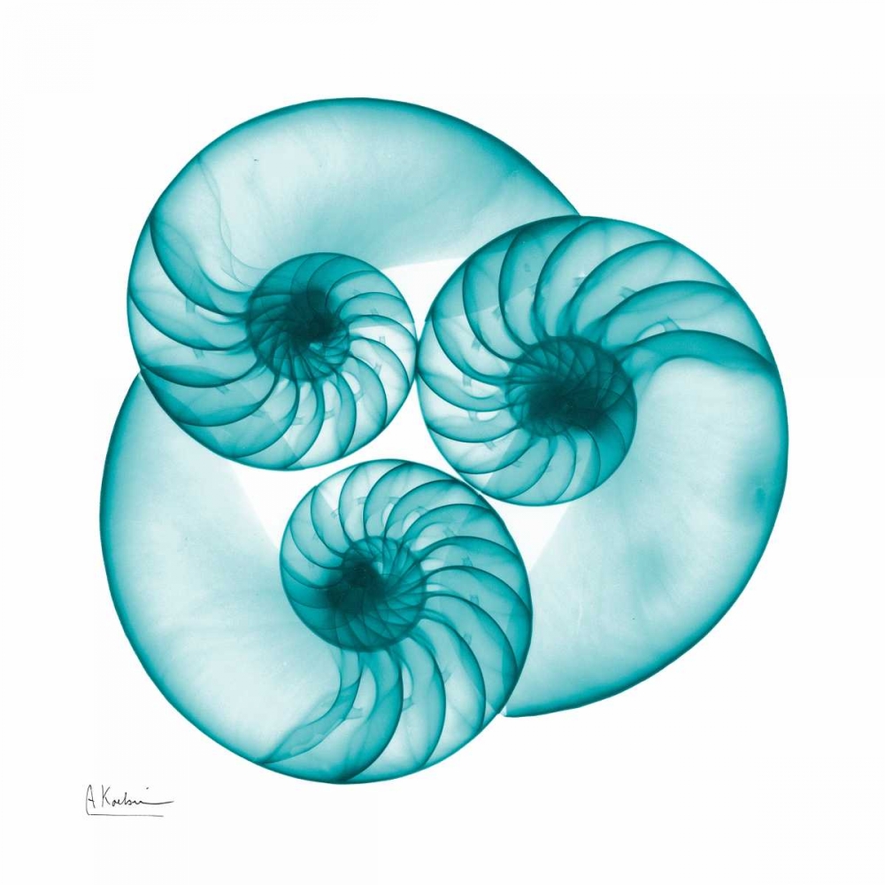 Similar wall art painting: 22598