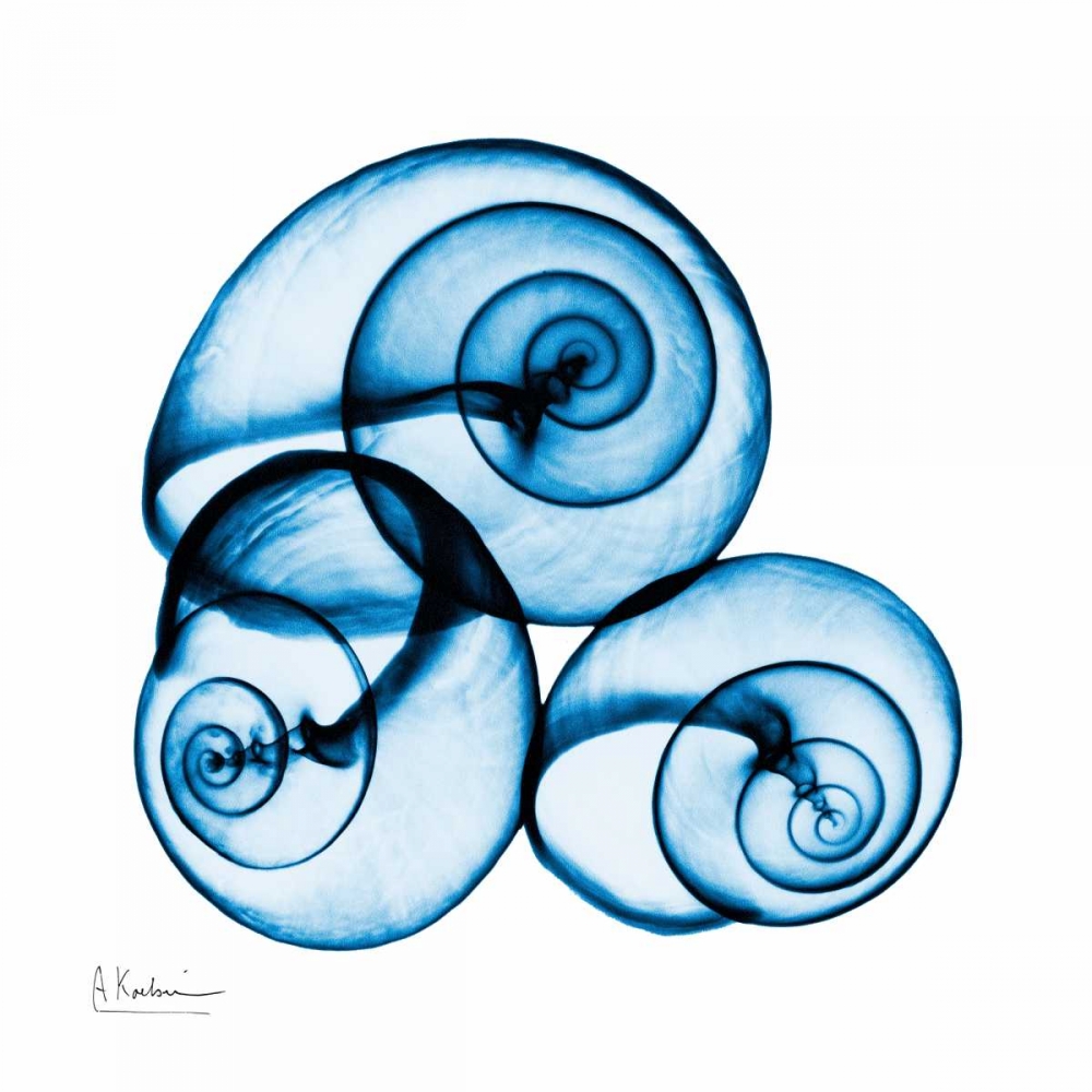 Similar wall art painting: 22599