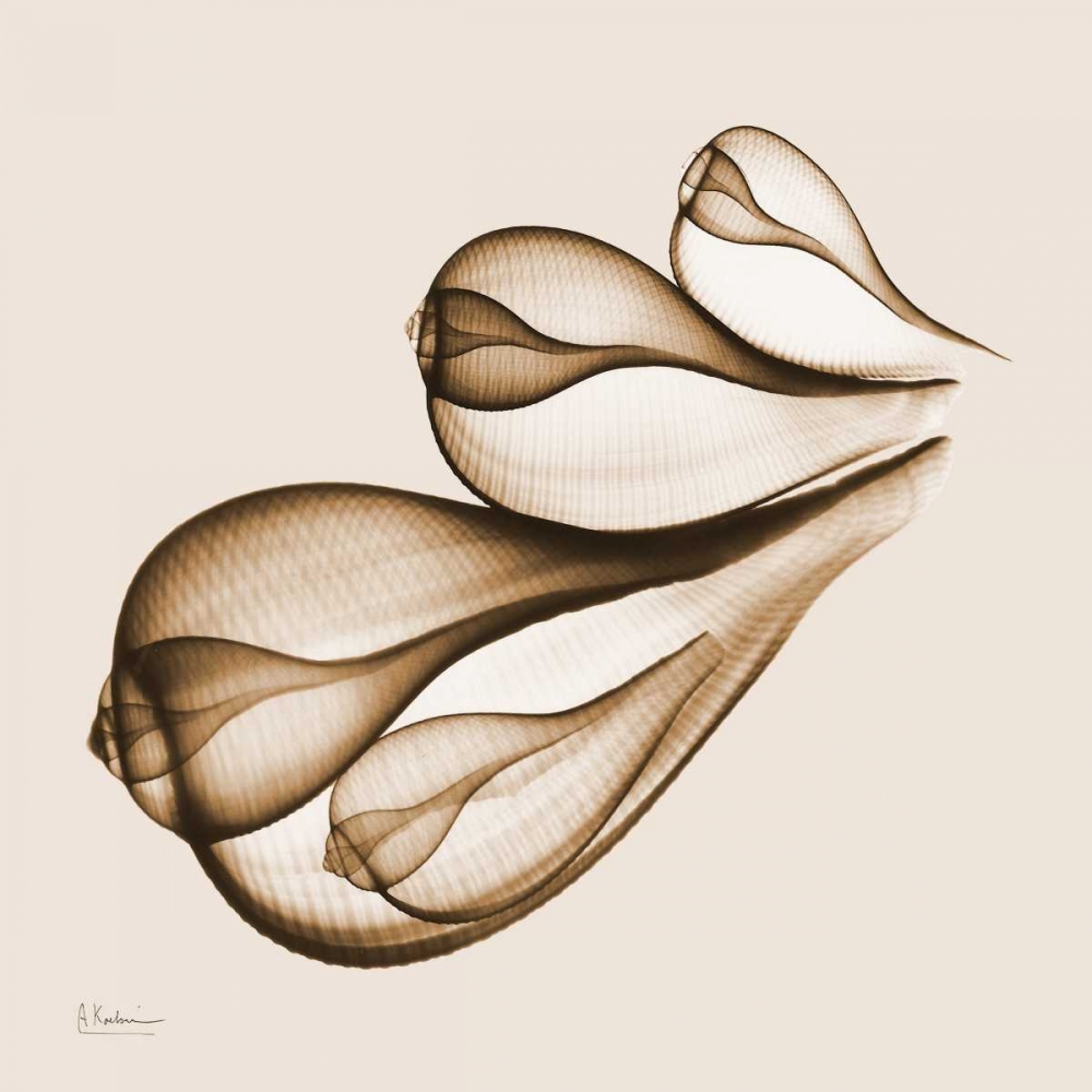 Similar wall art painting: 22602