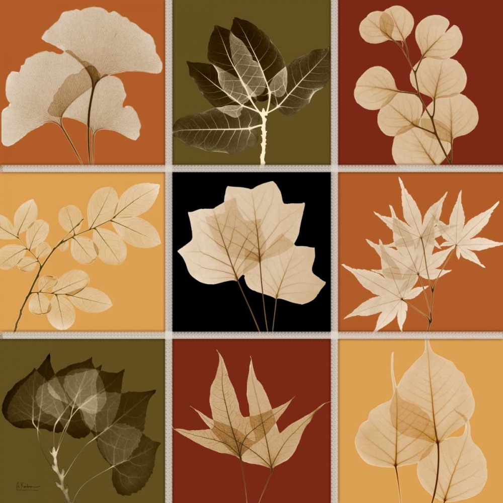 Similar wall art painting: 22610