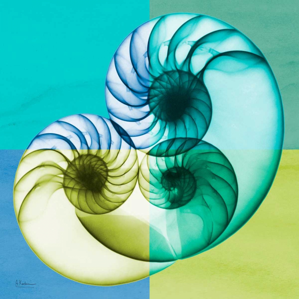 Similar wall art painting: 22625