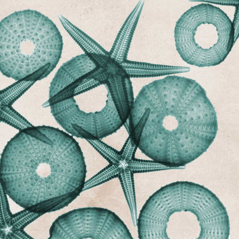 Similar wall art painting: 22636