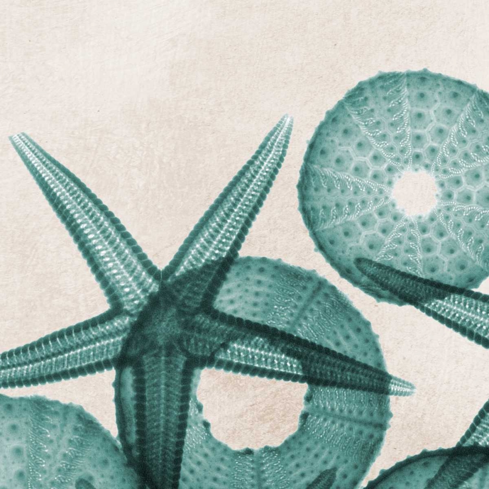 Similar wall art painting: 22637