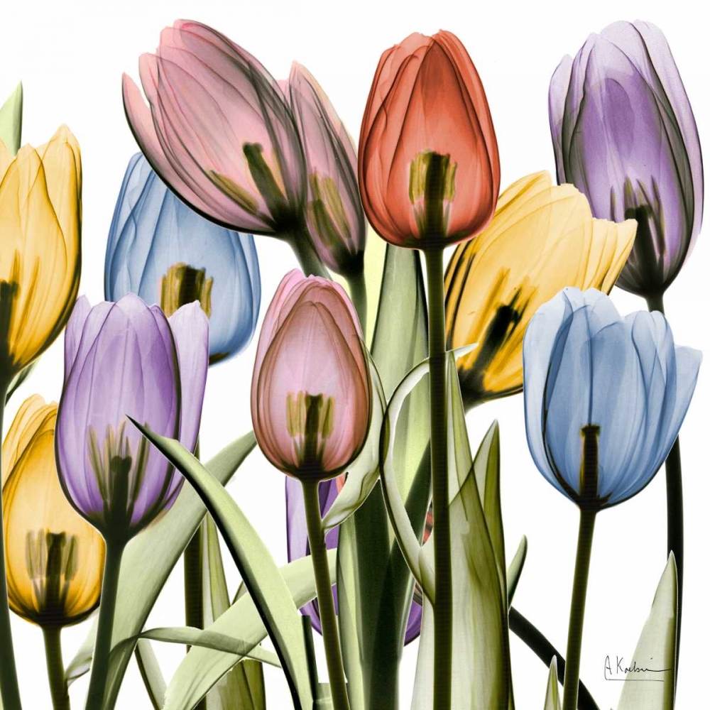 Similar wall art painting: 86119