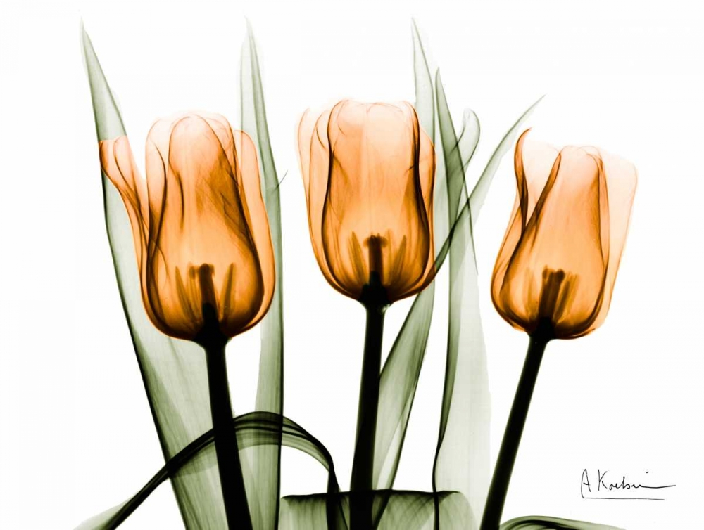 Wall Art Painting id:22641, Name: Tulips Orange, Artist: Koetsier, Albert