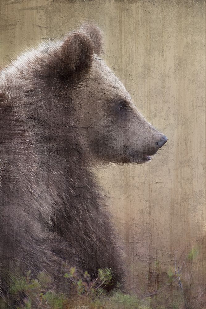 Similar wall art painting: 256099