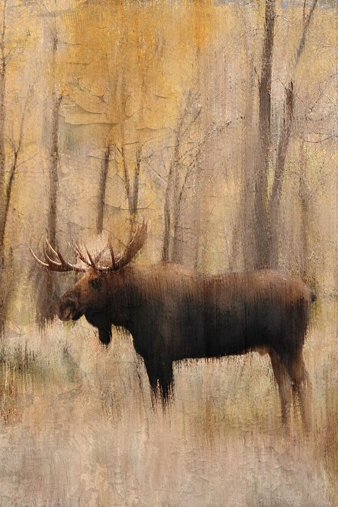 Similar wall art painting: 256100