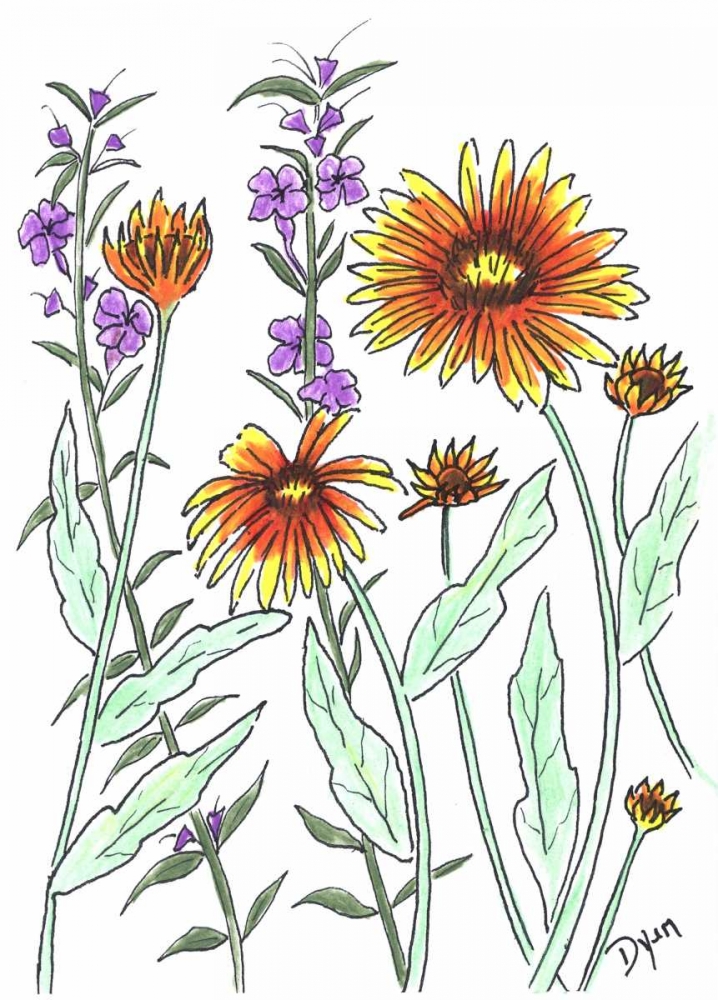 Wall Art Painting id:86219, Name: Common Blanket Flower, Artist: Dyer, Beverly