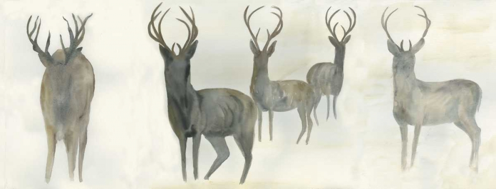 Wall Art Painting id:86206, Name: Wild Family, Artist: Dyer, Beverly