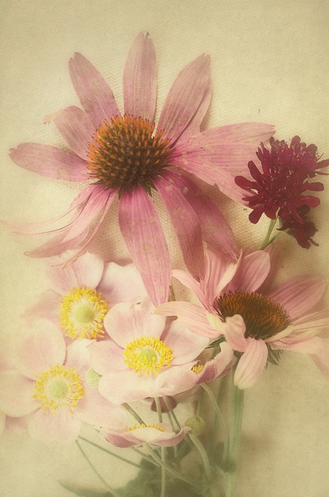 Wall Art Painting id:199778, Name: Late Summer Blooms 2, Artist: Urquhart, Elizabeth