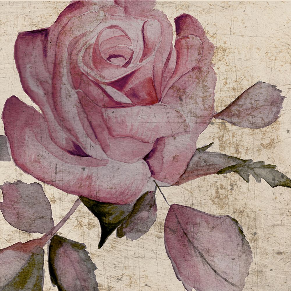 Wall Art Painting id:736665, Name: Watercolor Handpainted Rose 1, Artist: Frost, Julia