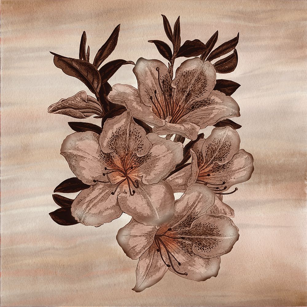 Wall Art Painting id:726969, Name: Timeless Blossoms 1, Artist: Frost, Julia