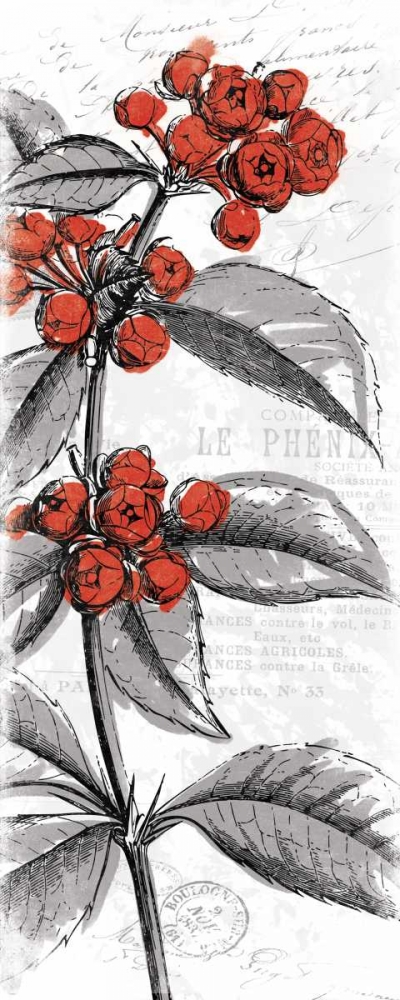 Wall Art Painting id:25598, Name: Red Flower, Artist: Grey, Jace