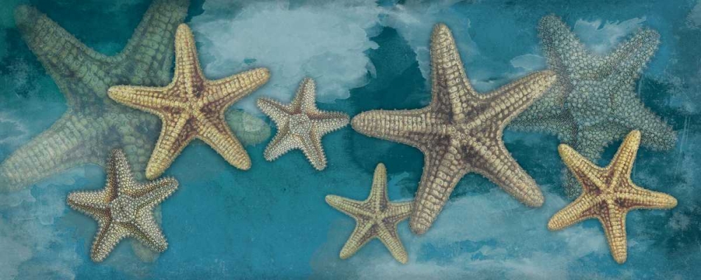 Wall Art Painting id:25687, Name: Starfish, Artist: Grey, Jace