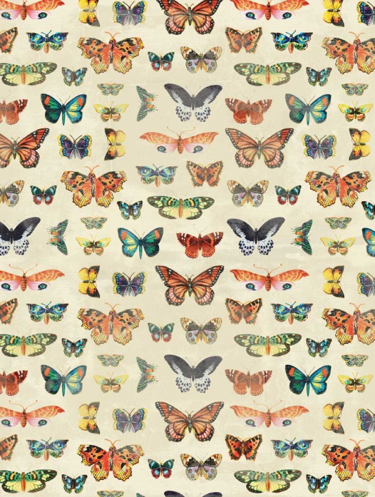 Wall Art Painting id:25995, Name: Butterflies, Artist: Grey, Jace