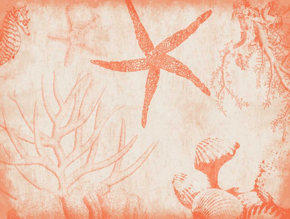 Wall Art Painting id:26071, Name: Sea Life in Tangerine 2, Artist: Grey, Jace