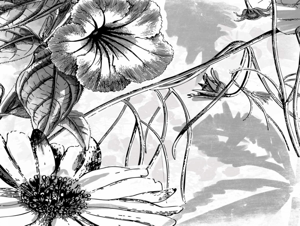 Wall Art Painting id:26278, Name: Simple BW Flower, Artist: Grey, Jace