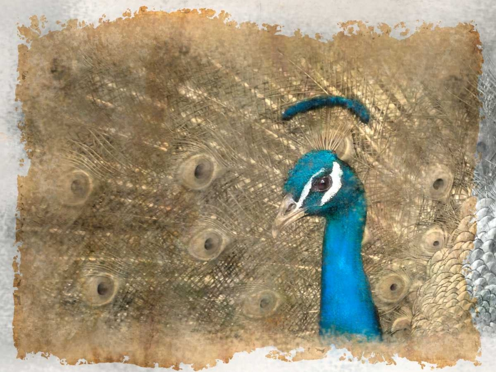 Similar wall art painting: 106564