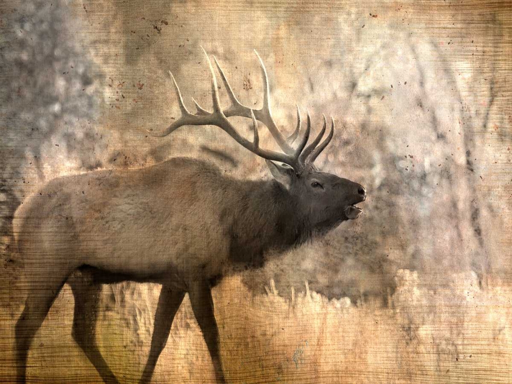 Similar wall art painting: 106574