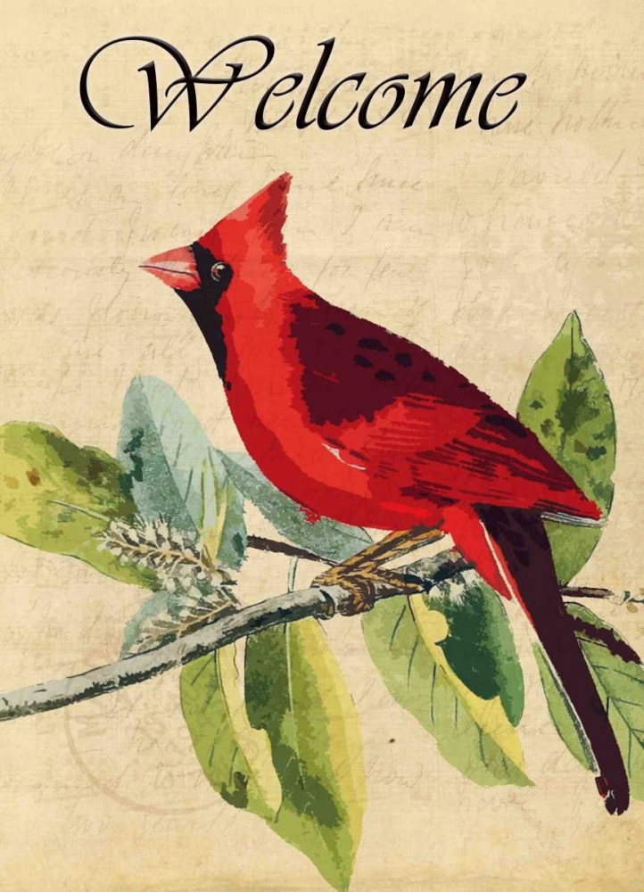 Wall Art Painting id:106609, Name: Cardinal Welcome, Artist: Allen, Kimberly