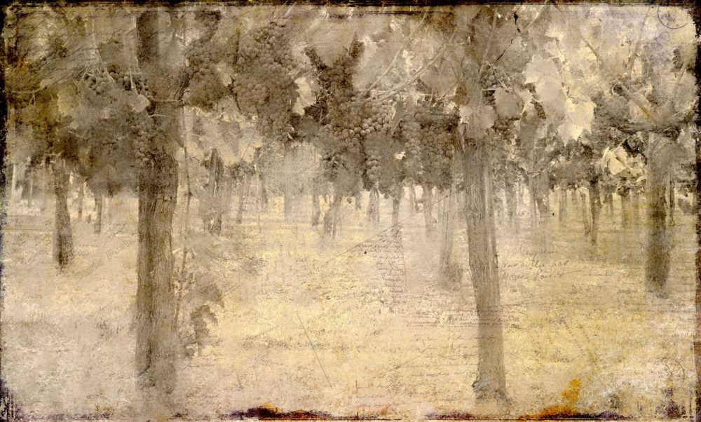 Wall Art Painting id:106637, Name: Vineyard, Artist: Allen, Kimberly