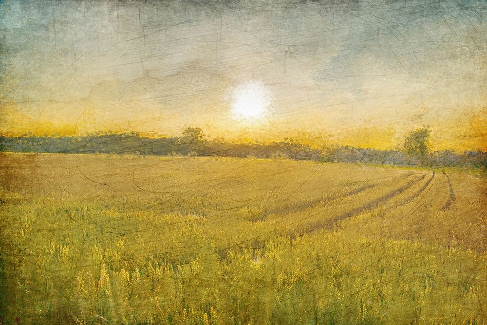 Wall Art Painting id:276757, Name: Already to Harvest, Artist: Kimberly, Allen