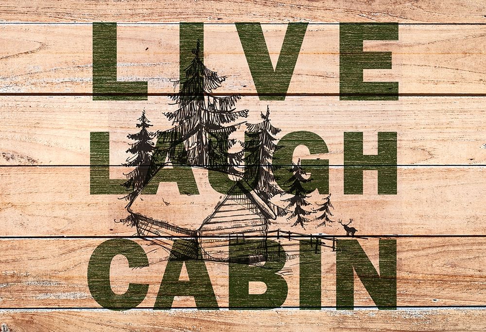 Wall Art Painting id:330921, Name: Live Laugh Cabin, Artist: Allen, Kimberly