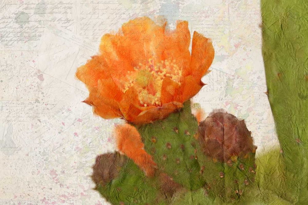 Wall Art Painting id:152128, Name: Cacti Flower, Artist: Allen, Kimberly