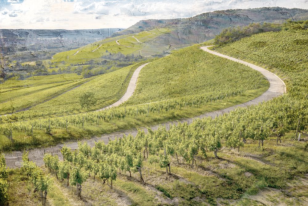 Wall Art Painting id:474973, Name: Vineyard Green, Artist: Allen, Kimberly