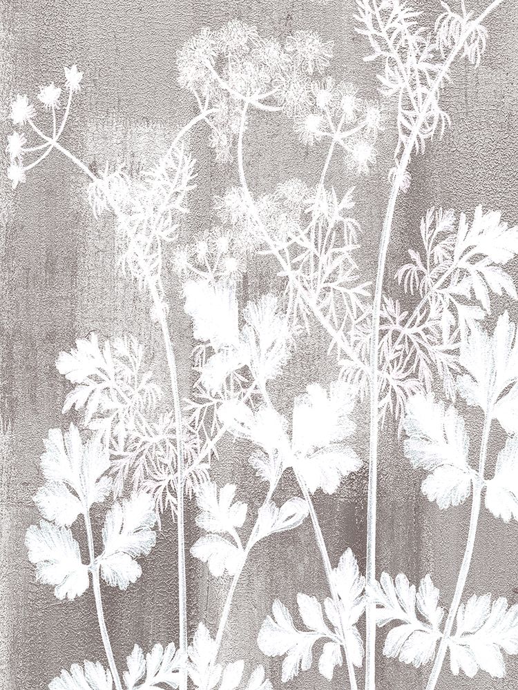 Wall Art Painting id:617519, Name: Calmness Botanical 2, Artist: Allen, Kimberly