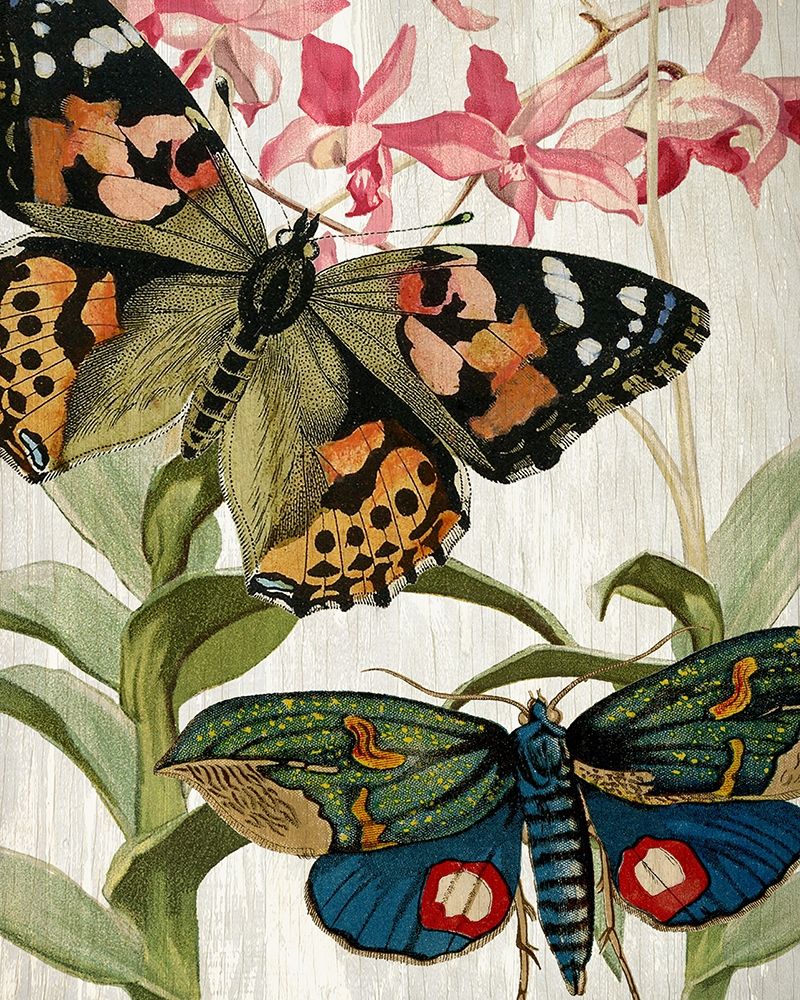 Wall Art Painting id:223056, Name: Butterfly World 1, Artist: Allen, Kimberly