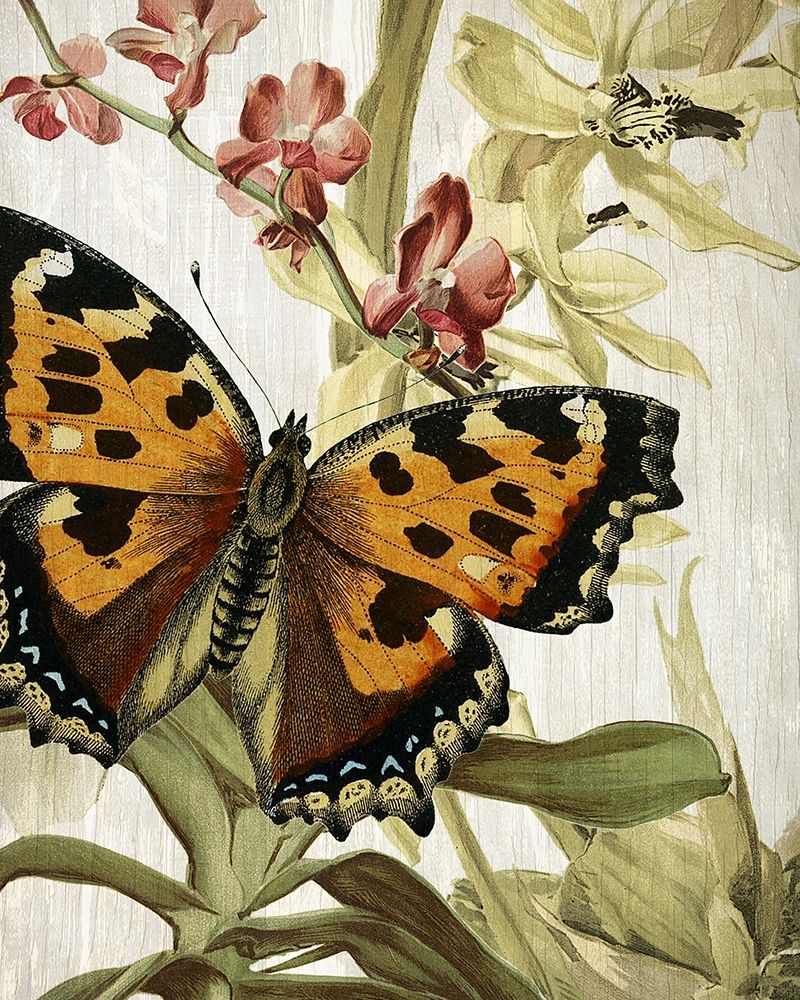 Wall Art Painting id:223057, Name: Butterfly World 2, Artist: Allen, Kimberly