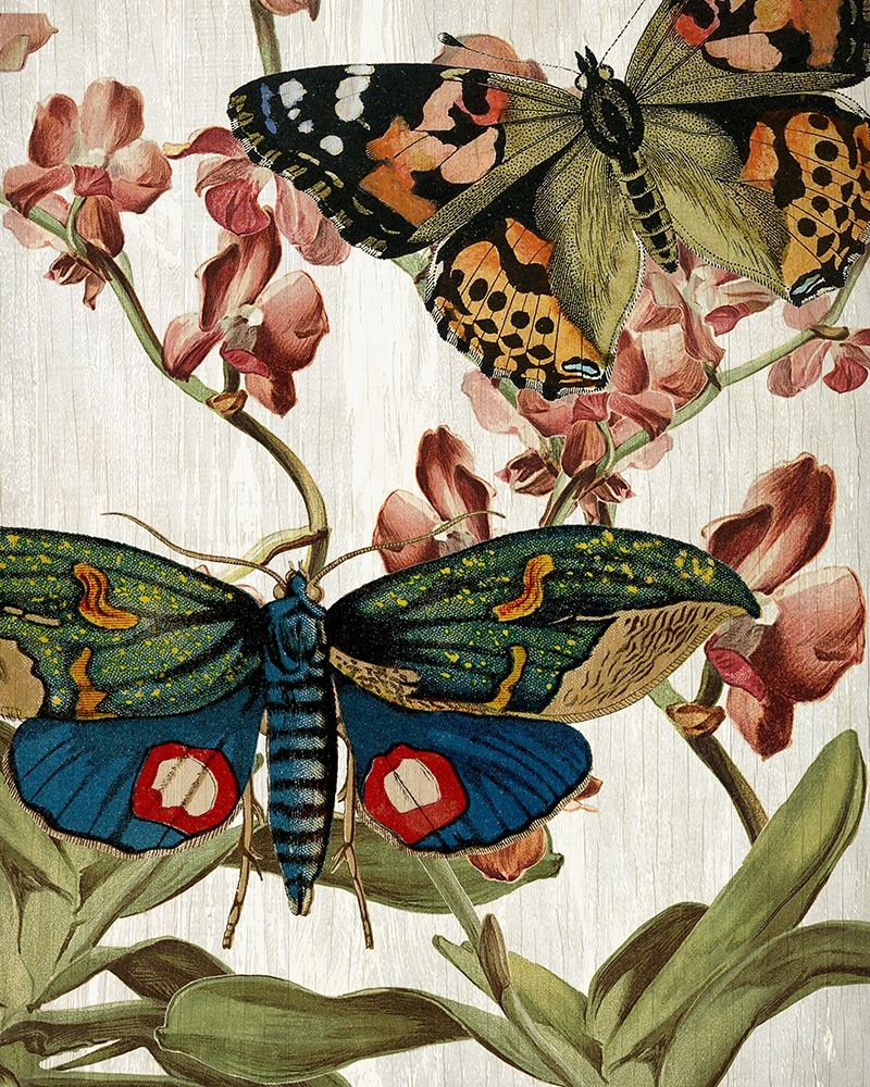 Wall Art Painting id:223058, Name: Butterfly World 3, Artist: Allen, Kimberly