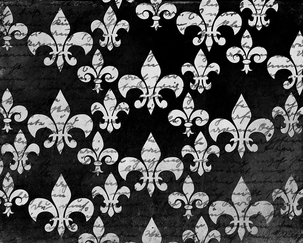Wall Art Painting id:223143, Name: Black and White Fleur, Artist: Kimberly, Allen