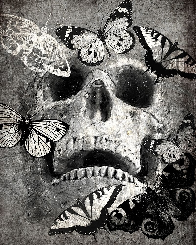 Wall Art Painting id:223202, Name: Butterfly Skull, Artist: Kimberly, Allen