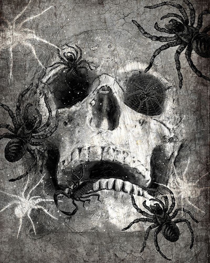 Wall Art Painting id:223203, Name: Spider  Skull, Artist: Kimberly, Allen