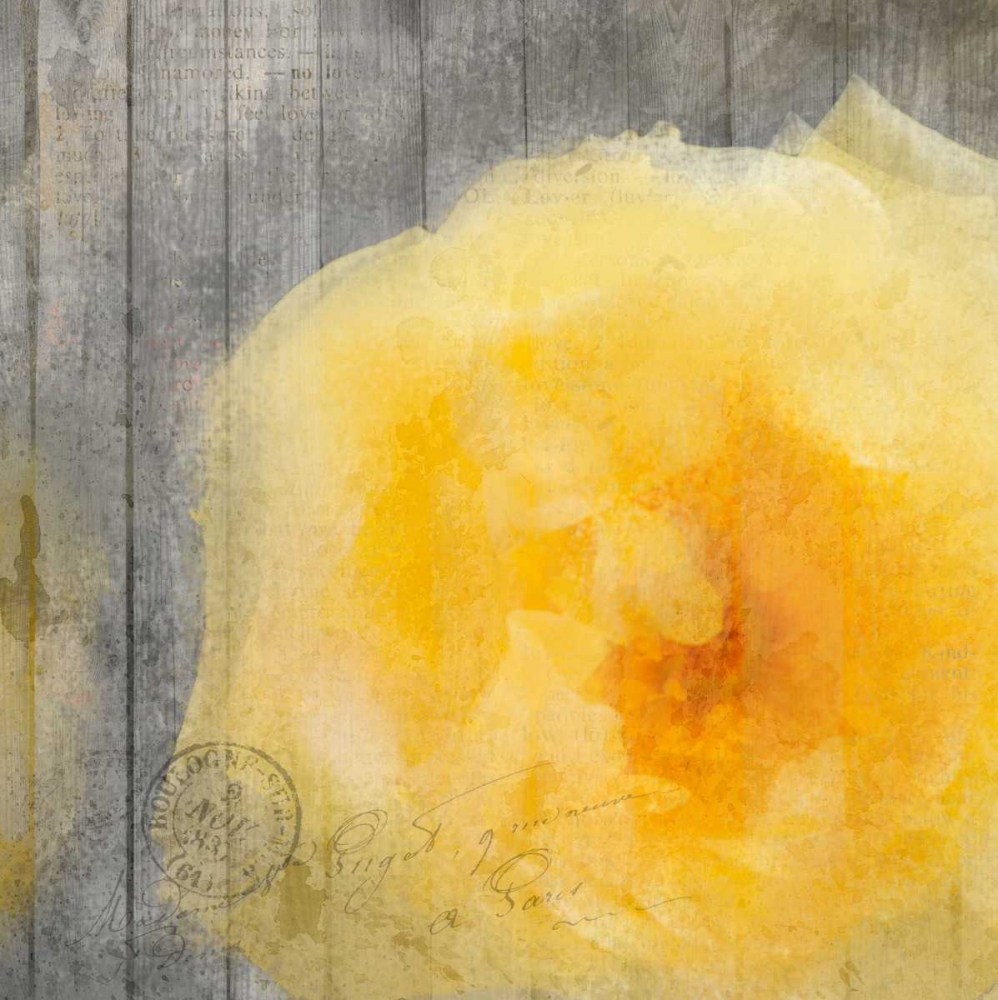 Wall Art Painting id:106718, Name: Yellow Bloom, Artist: Allen, Kimberly